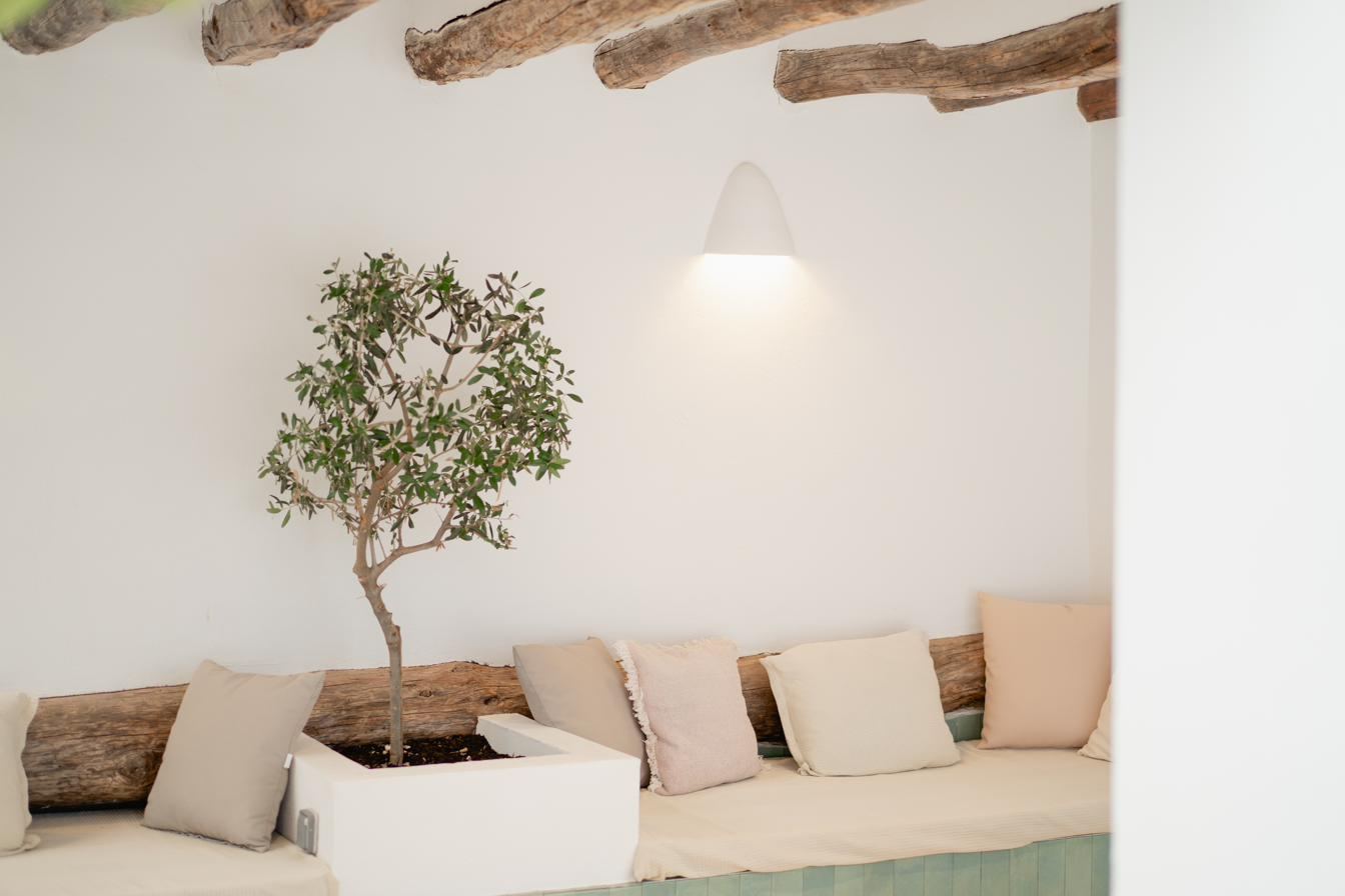The covered roof terrace: a long bench with linen cushions and an olive tree.