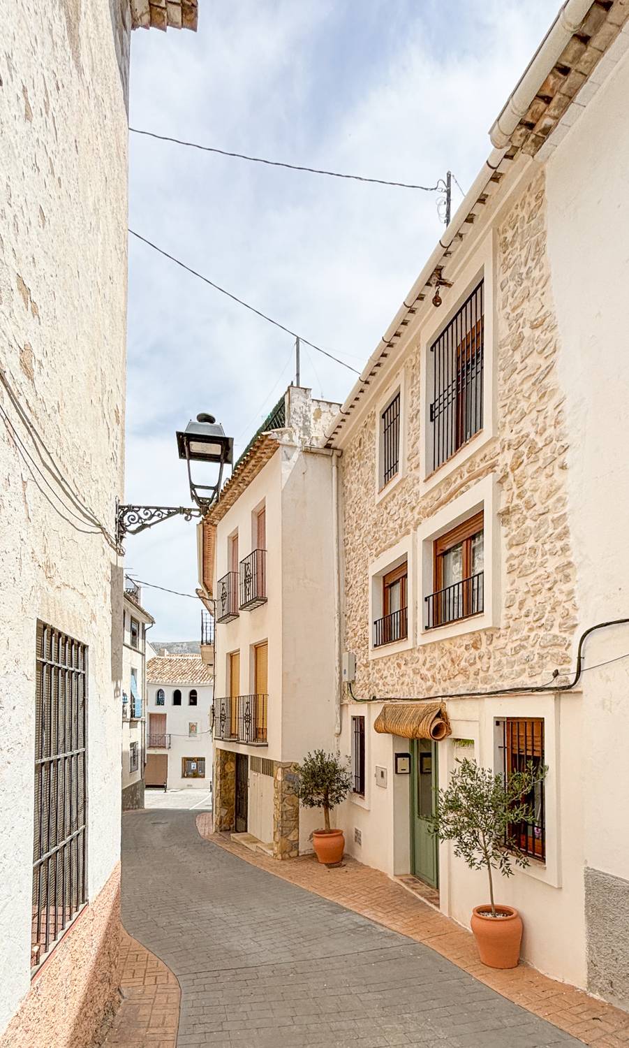 The house on Calle Sant Josep: stone façade, green door and two potted olive trees.